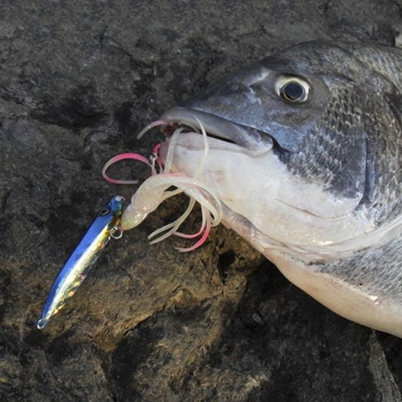 OBSESSION J25 Inchiku 오징어 루어 금 - Fishing Lure Buzzbait 리뷰 및 가격